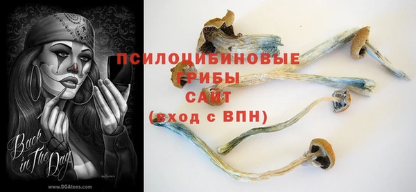 гашик Корсаков