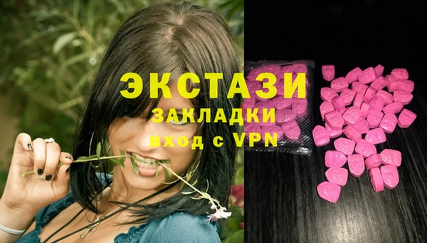 гашик Корсаков