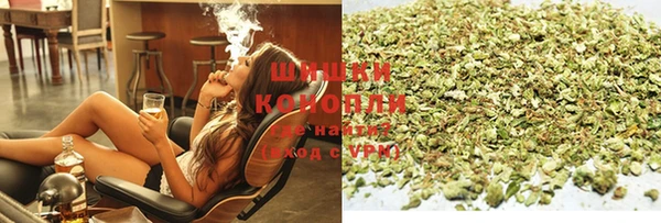 гашик Корсаков