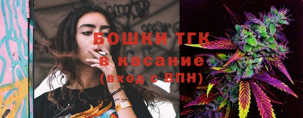 гашик Корсаков