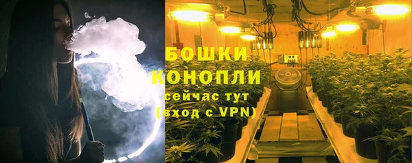 гашик Корсаков