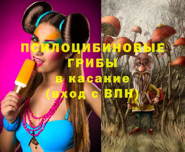 PSILOCYBIN Коряжма