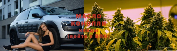 гашик Корсаков