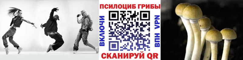Купить где  Бобров  Галлюциногенные грибы Psilocybe 