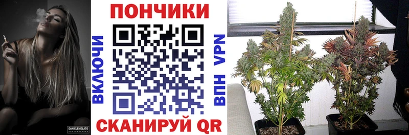 Бошки Шишки Ganja  Купить  Бобров 